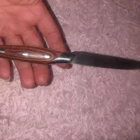 چاقوی موکا اصل|ظروف پختوپز|تهران, شهرک ولیعصر جنوبی|دیوار