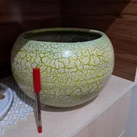 گل طیبعی و گلدان|گل و گیاه طبیعی|تبریز, |دیوار