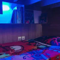 تخت خواب دوطبقه رویا|تخت و سرویس خواب|کرمان, |دیوار