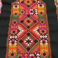 زیاستین قسطی