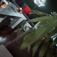 برگزاری تولد، سوپرایز، دورهمی و مراسم های مختلف|خدمات پذیرایی، مراسم|رشت, کوی حسینی|دیوار