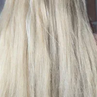 فروش کله مانکن بافت وشنیون|آرایشی، بهداشتی، درمانی|شیراز, دلجو|دیوار