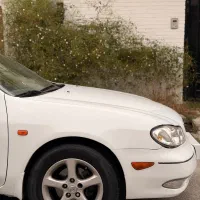 ماکسیما89|خودرو سواری و وانت|بابل, |دیوار