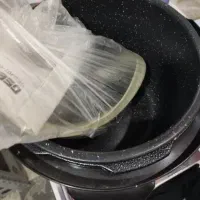 جی پاس پلوپز