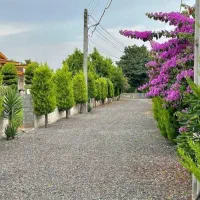 284م. 20دقیقه پیاده تا دریا/بدون مشرف|فروش زمین و ملک کلنگی|نشتارود, |دیوار