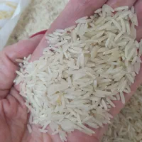 فروش برنج/خوش پخت/هاشمی/برنج ایرانی|خوردنی و آشامیدنی|کیش, |دیوار