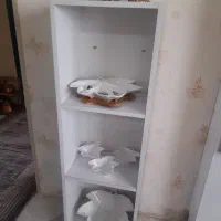 قالیچه آشپزخونه.جا کفشی .سه طبقه|فرش|گلبهار, شهر جدید گلبهار|دیوار