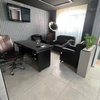 ابدارچی خانم