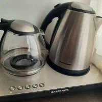 چایساز گاسونیک