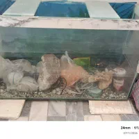 اکواریوم