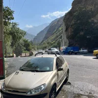 ۲۰۶ مدل ۸۳ تیپ ۵|خودرو سواری و وانت|سیرجان, |دیوار