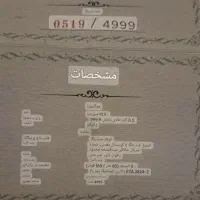 ساعت کلکسیونی خاص|ساعت|تهران, ستارخان|دیوار