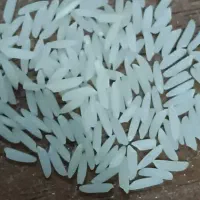 برنج طارم دم سیاه عطری|عمده‌فروشی|پاکدشت, پاکدشت (مامازند)|دیوار