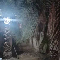 خانه قدیمی یا زمین با انشعابات. حاجی آباد