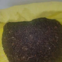 مویز خوراکی