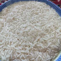 برنج هاشمی