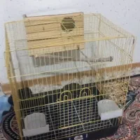 قفس پرنده همراه با لونه