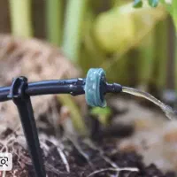 اجرای آبیاری قطره‌ای