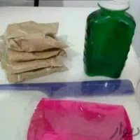 رفع قطعی شپش فقط در یک جلسه