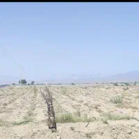 فروش سه هکتارونیم زمین کشاورزی زیارت مولامیناب|فروش دفتر صنعتی، کشاورزی، تجاری|میناب, |دیوار