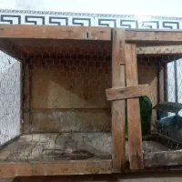جفت کن کبوتر|لوازم جانبی حیوانات|پاکدشت, شهرک امام رضا|دیوار