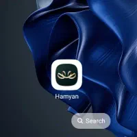 همیان طلا میلی