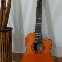 گیتار آریا Arya AK 80CE