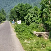 اجاره ویلاجنگلی درطبیعت زیبا ودلنوازگشت رودخان|اجارهٔ کوتاه‌مدت ویلا و باغ|فومن, |دیوار