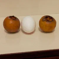 درود فراوان . ازگیل محلی  پیوندی . (کونوس)50تومان