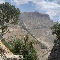 با اوم پی فینکس پول دربیار