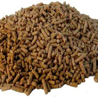غذای ماهی کپور