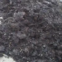 کود گاوی حیوانی
