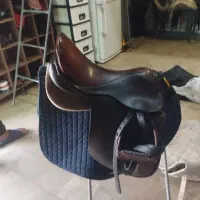 زین انگلیسی مخصوص پونی|اسب و تجهیزات اسب‌سواری|رودهن, |دیوار