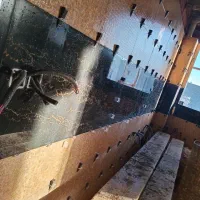 کاشی کاری سنگ کاری|خدمات پیشه و مهارت|بجنورد, |دیوار