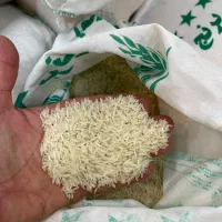 برنج طارم محلی و فجرسوزنی گرگان|خوردنی و آشامیدنی|کرمان, |دیوار