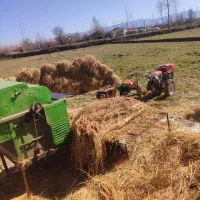 برنج درشت نیم دانه سرلاشه و تخم جو هاشمی