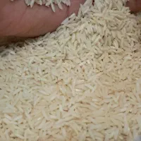 برنج هاشمی اعلاودرجه یک|خوردنی و آشامیدنی|رشت, پل تالشان|دیوار