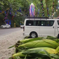 سرویس دربستی تویوتا هایس ظرفیت ۸ نفر