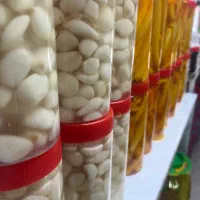 سیر صدفی و گل سیر|خوردنی و آشامیدنی|قم, لسانی|دیوار