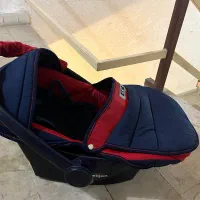 کریر دلیجان|کالسکه و لوازم جانبی|بندر انزلی, معلم|دیوار