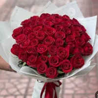 شاخه گل رز هلندی انواع دسته گل|گل و گیاه طبیعی|تهران, والفجر (افسریه)|دیوار