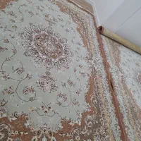 دو تخته فرش ۹ متری|فرش|قزوین, |دیوار