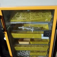 دستگاه جوجه کشی سیمرغ جنوب