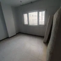 3خواب-ارکیده-پامچال-دریاچه-ساحل-چیتگر