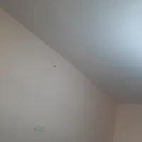 همخونه-خانم