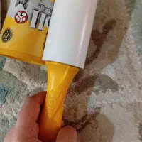 گربه|گربه|ماکو, |دیوار