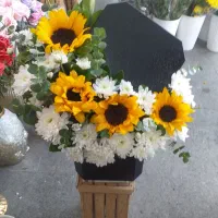 گل طبیعی و مصنوعی|گل و گیاه طبیعی|پاکدشت, پاکدشت (مامازند)|دیوار