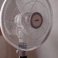 پنکه ایستاده