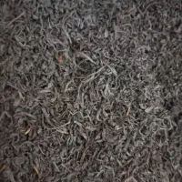 چای  بهاره ممتاز لاهیجان قیمت عمده از کارخانه