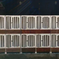 گنجه مرغ و خروس لاری و جفت کن کبوتر،کفتر نقد و چکی|لوازم جانبی حیوانات|ساری, |دیوار